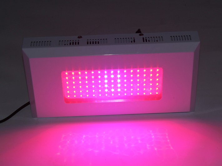 供應90W LED植物燈