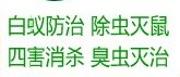 供應深圳白蟻防治公司大浪民治殺老鼠