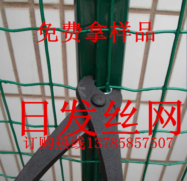供應野兔養殖網-綠色圍欄網-5*5孔徑荷蘭網批發