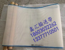 供應特氟龍輸送帶