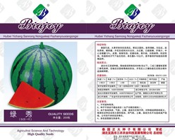 ****哈蜜瓜種子