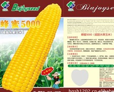 **產(chǎn)品**甜水果甜玉米種子