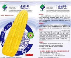 甜玉米種子