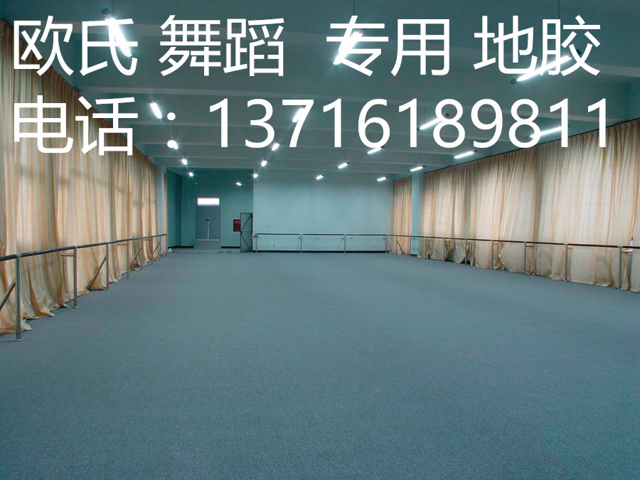 供應 廣東 舞蹈**地膠 芭蕾舞蹈教室地板膠