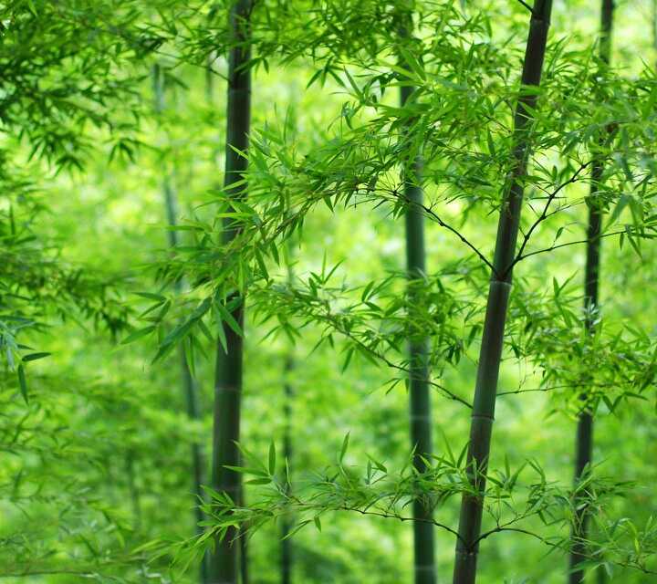 武漢候車亭廣告就來(lái)湖北廣告投放網(wǎng)