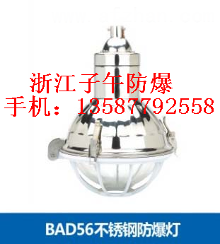 供應(不銹鋼）BGL-250G增安型防爆防腐燈|防爆防腐燈BGL-250G東莞、珠海、中山