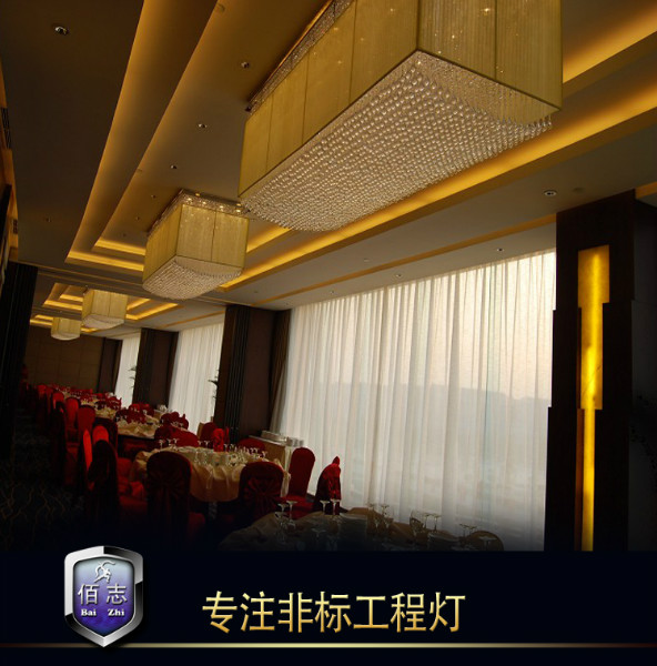 供應(yīng)非標(biāo)工程燈，佛山酒店工程燈，**