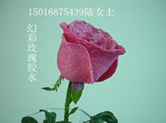 供應藍玫瑰美容液，鮮花美容液,藍色妖姬膠水