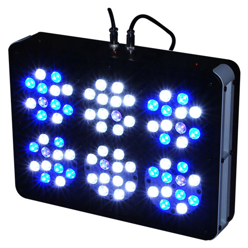 APO6 LED調光水族燈 LED珊瑚水族調光燈 LED水族燈