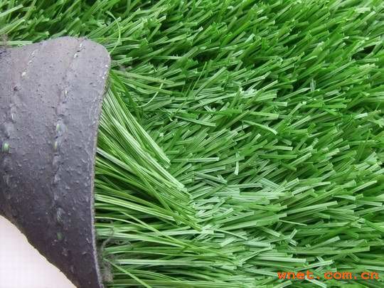 供應(yīng)廣州白云區(qū)黃邊人造草批發(fā)人造草