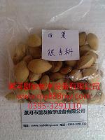 供應(yīng)中藥標(biāo)本-圖為白果