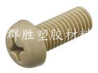 供應深圳市PEEK螺絲廠家
