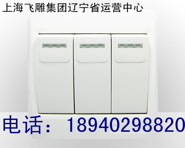 供應飛雕開關換氣扇，沈陽總代理