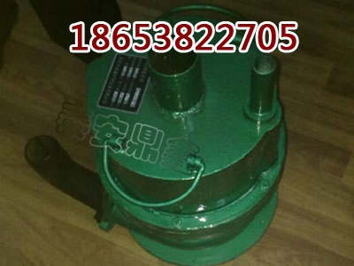 FQW20-60風(fēng)動(dòng)潛水泵價(jià)格優(yōu)勢(shì)