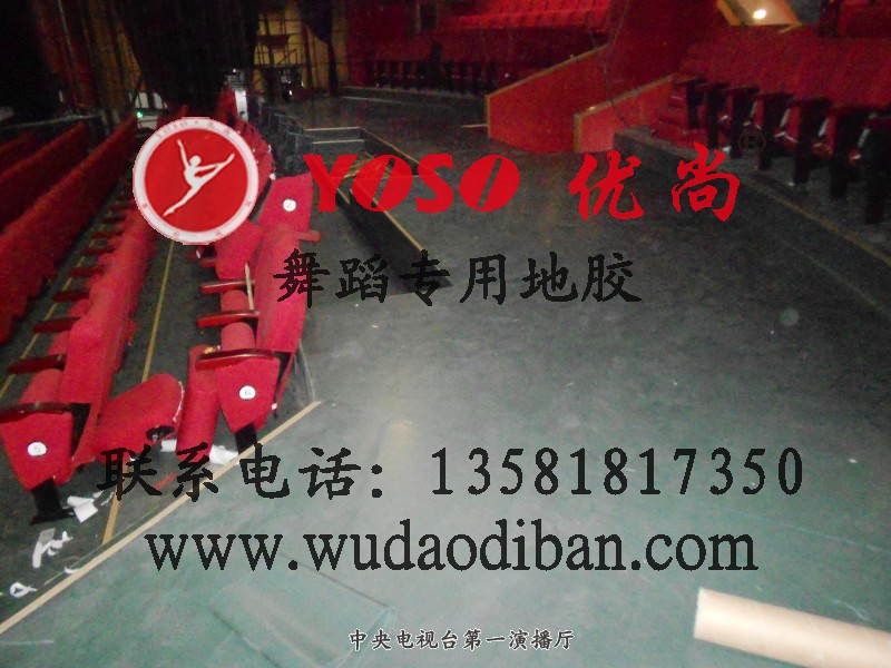 供應塑膠舞蹈房地板,舞蹈房運動地板,舞蹈房運動地膠