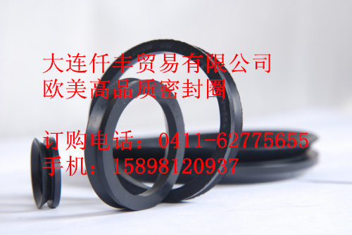 供應水封，進口水封，水封圖片，密封圈規格