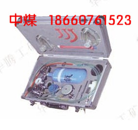 MZS-30自動(dòng)蘇生器報(bào)價(jià),蘇生器廠家,自動(dòng)蘇生器測(cè)定儀,MZS蘇生器