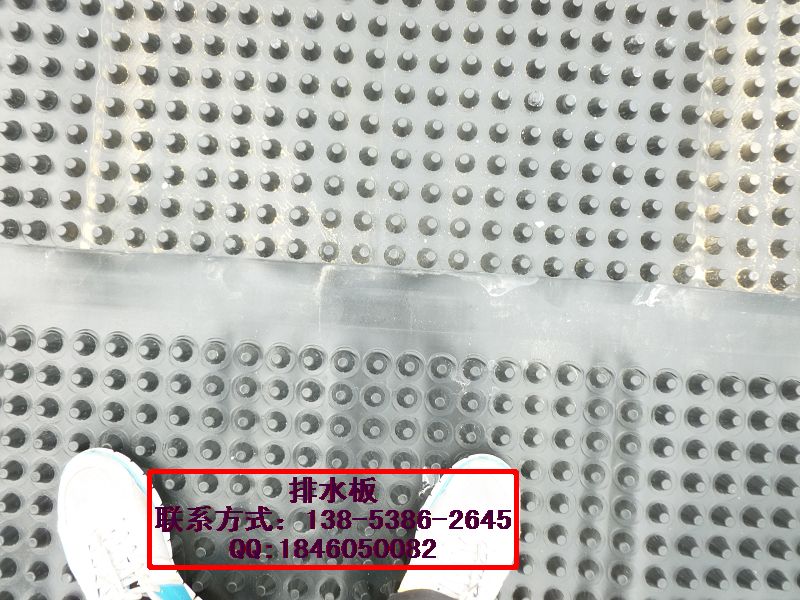 供應排水板廠家，土工復合防排水板