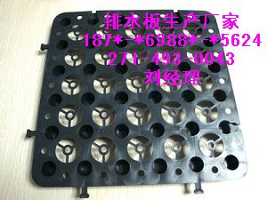 供應貴港】屋頂花園塑料【排水板批發訂