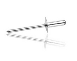供應Blind Rivets Large Head 鋁 3,5/5.0 鋁合金