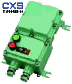供應(yīng)粉塵防爆電磁起動(dòng)器浙江廠家*