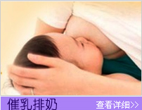 供應武昌家政服務--武昌家政服務公司