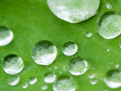 供應無氟**劑