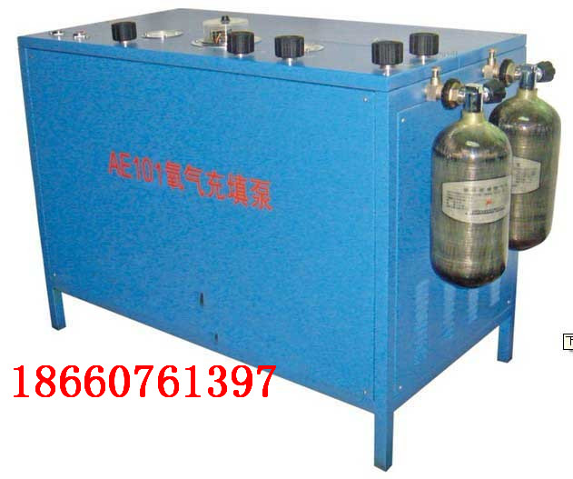 供應(yīng)AE102A氧氣充填泵