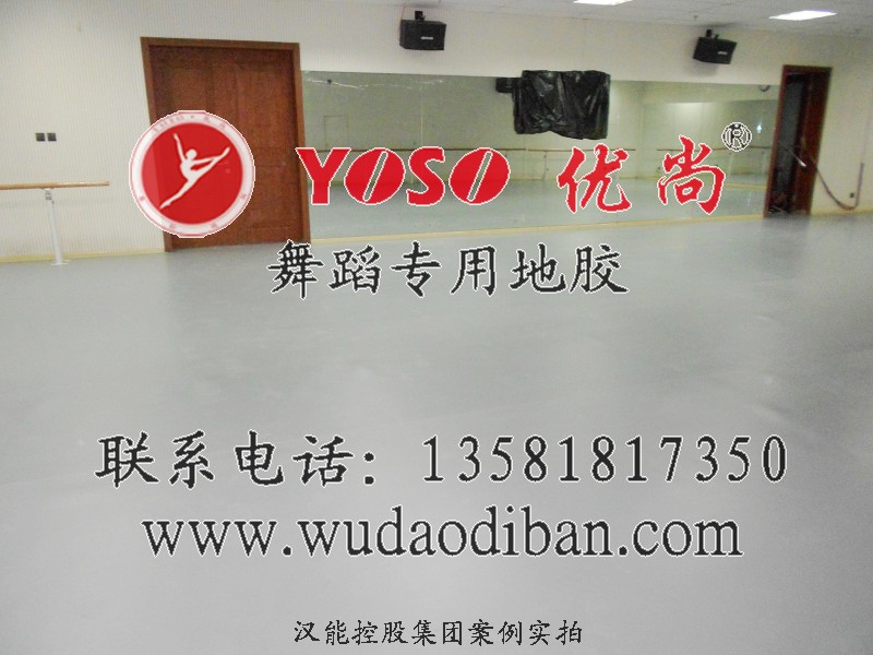 供應跳舞用把桿，舞蹈地膠