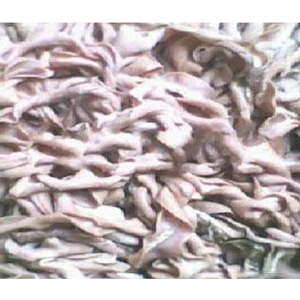 供應冷凍牛腸