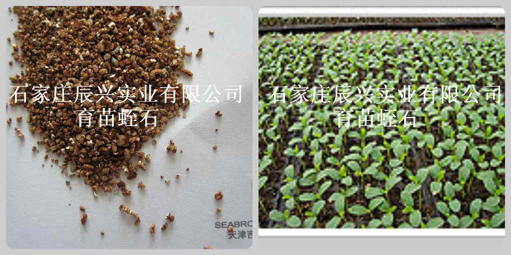 供應園藝蛭石的作用