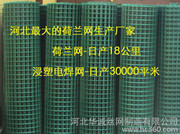 供應(yīng)天津浸塑電焊網(wǎng)，浸塑電焊網(wǎng)價格是