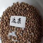 供應牛筋籽，牛筋種子，牛筋種子價格，批發(fā)牛筋籽