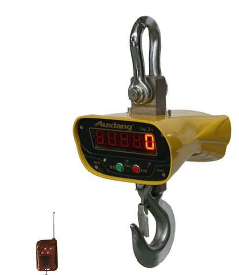 5-100噸直顯式電子吊磅
