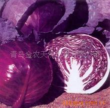 供應甘藍紅色素