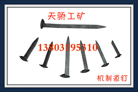 供應普通道釘