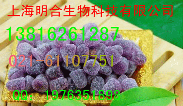 供應批發 采購 高質量的  藍莓果膠