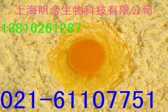供應批發 采購 高質量的  蛋黃粉