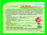 供應金椰寶*乳化椰子油粉