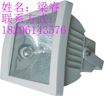 400W*節(jié)能泛光燈，供應(yīng)FAT-W**防塵防腐無(wú)極燈