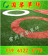 供應幼兒園草坪 游樂場草坪 幼兒園人造草坪  幼兒園彩色草坪**  國琴草坪定制