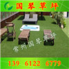 供應(yīng)  景觀草坪 休閑草坪 花園草坪 陽(yáng)臺(tái)草坪 樓頂防曬草坪 國(guó)琴草坪批發(fā)