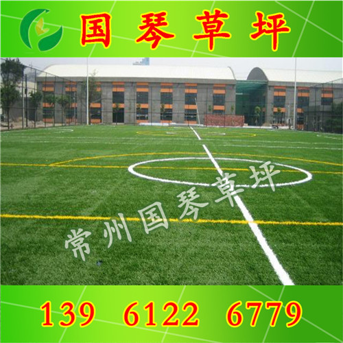 供應(yīng)人造綠色草坪  運(yùn)動(dòng)草坪 足球場(chǎng)草坪 籃球場(chǎng)草坪  彩色跑道草坪  國(guó)琴草坪批發(fā)