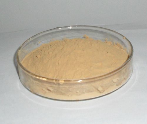 **優價大量供應牛蒡子苷