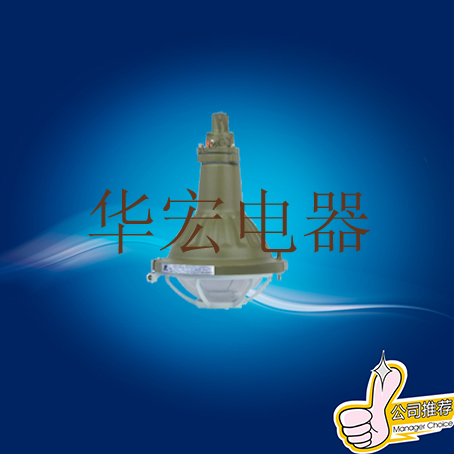 供應(yīng)FAD-L**防塵防腐燈 FAD-L**防塵防腐燈華榮 FAD-L FAD-L多少錢