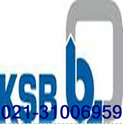 供應德國凱士比KSB閥門中國總代理