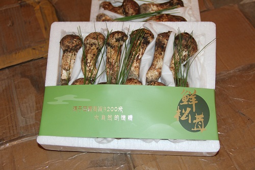 供應(yīng)成都哪里買中秋禮品 節(jié)慶松茸禮盒裝 過(guò)節(jié)松茸精美實(shí)惠裝