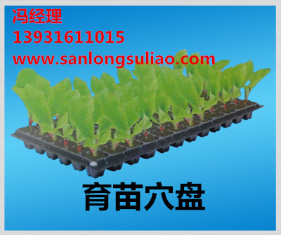 供應(yīng)廊坊穴盤，廊坊供應(yīng)量較大的穴盤生