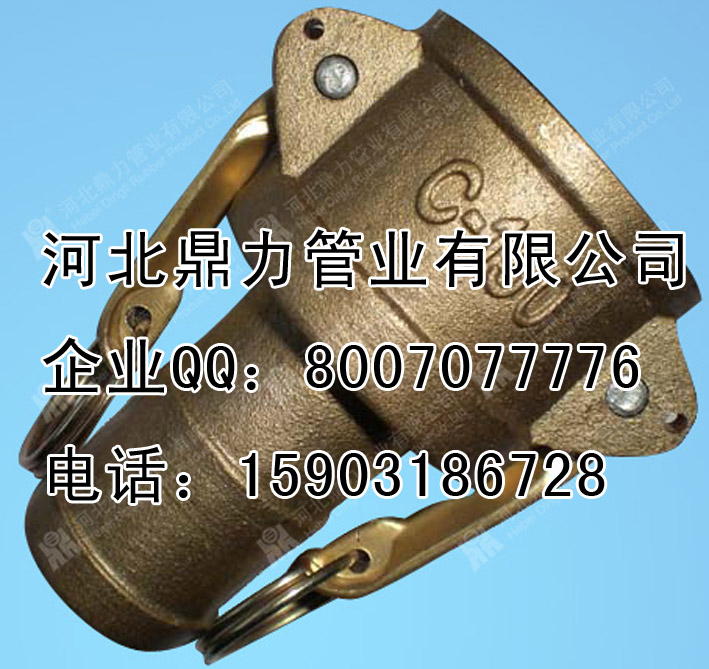 供應河北鼎力A型不銹鋼扳把式**接頭
