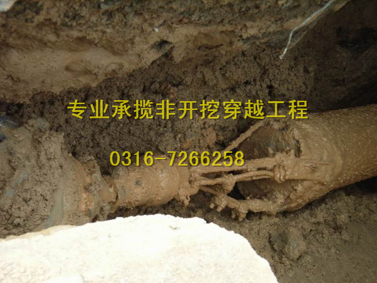 供應衡水管道非開挖